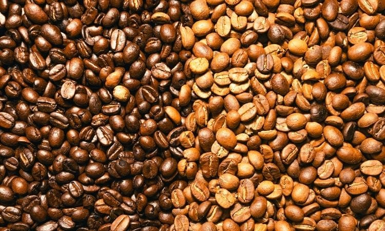 blonde vs dark roasted espresso beans