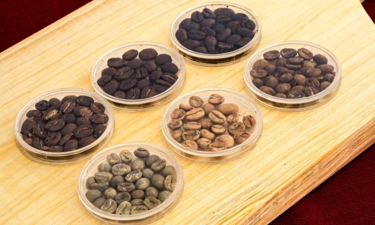 Different stages of roasting coffee beans