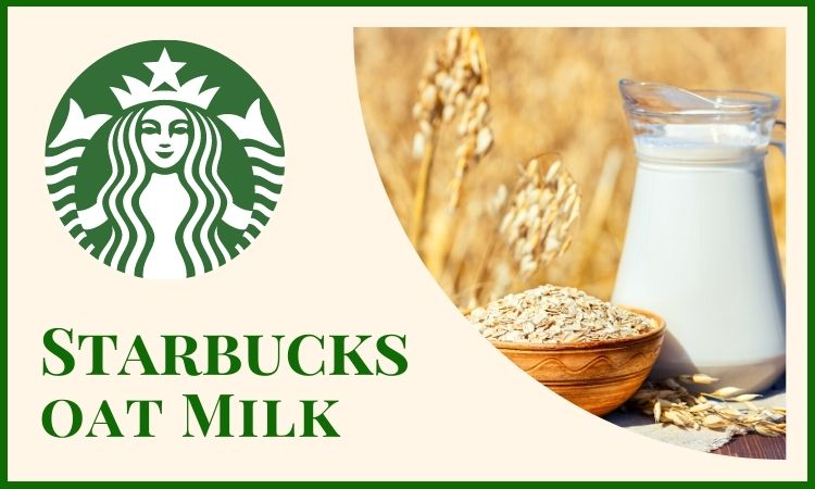 What Oat Milk Does Starbucks Use